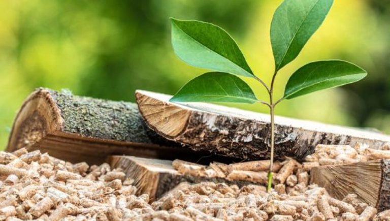 Poêle à Bois ou Poêle à Granulés : Comment choisir ?